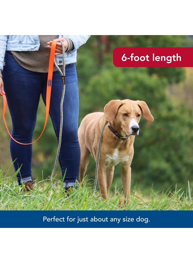 Coastal Water & Woods Braided Rope Snap Dog Leash by Coastal Pet - Durable Leash for Dog - Comfortable Pet Leash - Classic Swivel Snap for Tangle-Free Walks - Green, 1/2" x 6' - Image 4