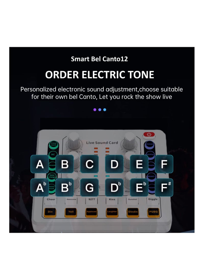 Arabest Live Sound Card, Mini Audio Mixer Board for PC Computer Phone, Voice Changer Sound Card Fit for PS4, Xbox, Switch, DJ Mixer, Podcast for Music Recording Karaoke Singing Broadcast, Recording Card  - Image 5
