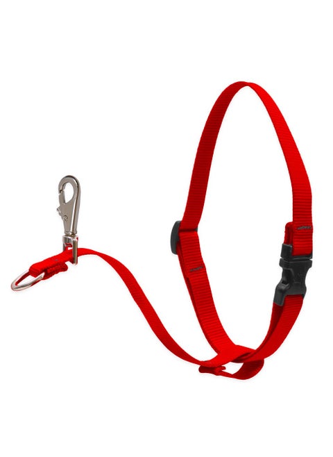 Basic Solids No Pull Harness For Dogs - Red