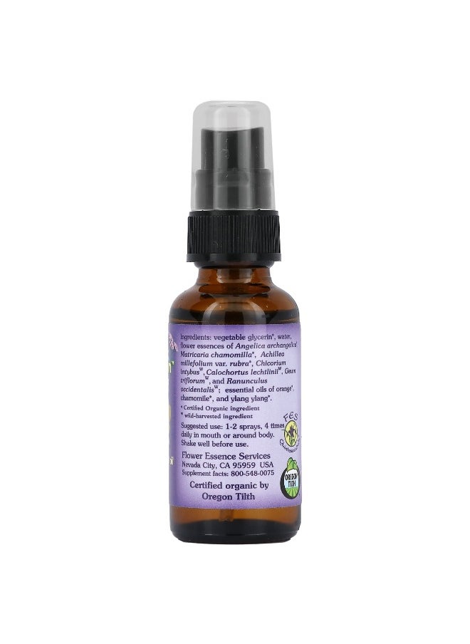 Flower Essence Services Flower Essence Services, Kinder Garden, Non-Alcohol Formula, 1 oz, (30 mL)  - Image 2