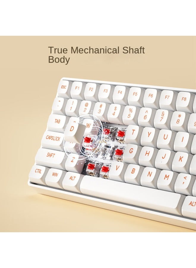 آيجو لوحة مفاتيح وموس ميكانيكي لاسلكي 2.4 جيجاهرتز، تشغيل فوري، N-key Rollover، ميكانيكي حقيقي - Image 4