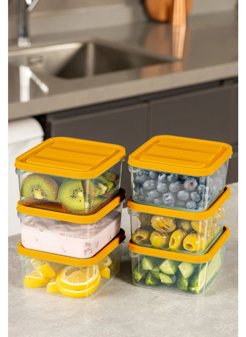 Vienev Set of 6 350 ml Fridge Freezer Organizer Microwave and Freezer Suitable Storage Container Orange