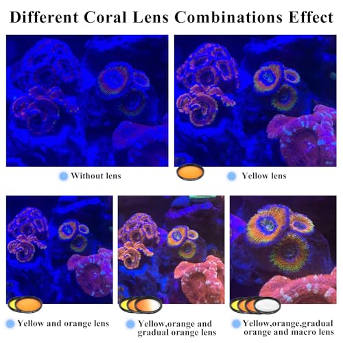 Weramics Coral Lens Aquarium Reef Filter Lens Kits for Phone 8 Coral Lenses Kit Including Orange Gradual-Orange Yellow Gradual-Yellow Pink Macro Start and Polarized CPL len - Image 4
