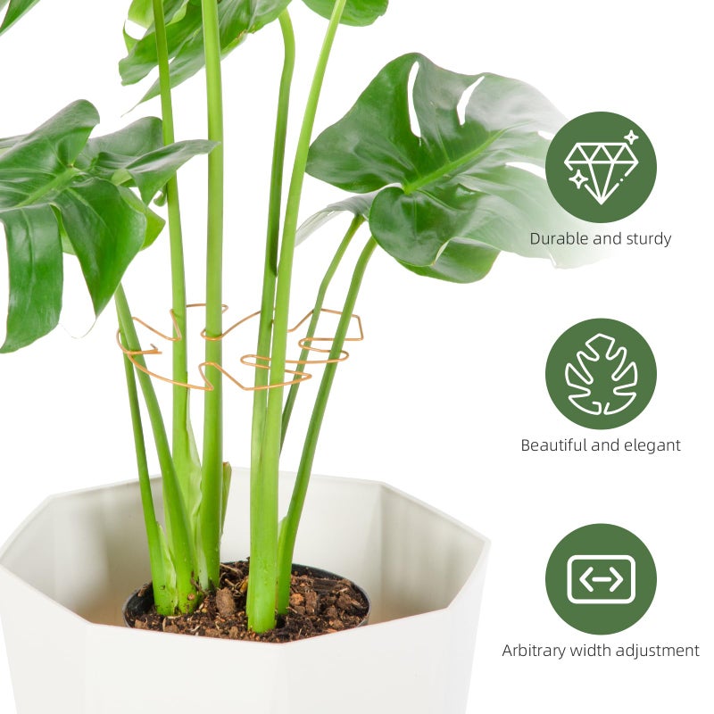Yeomant 6PCS Iron Monstera Plant Support, Uniquely Designed Indoor Plant Accessories, Stable Plant Support Stakes for Indoor Plant, Turtle Shell Bamboo Clamp Set for Thriving Growth - Image 4