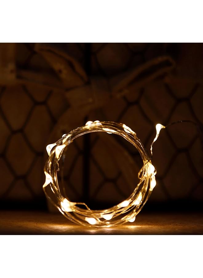 erorex Light Waterproof Starry Firefly Copper Wire String Light 20M 200 Led 8 Modes With Remote Control For Wedding Home Decorations Warm White Clear Sedc Tmm - Image 2