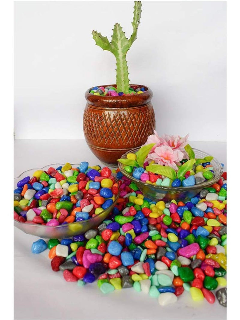 Somil حصى ملون من سومي للحدائق والنباتات والمروج والأحواض والأسماك والديكور المنزلي والأواني والأثاث بحجم 10-30 مم لامع ملون A257 - Image 4