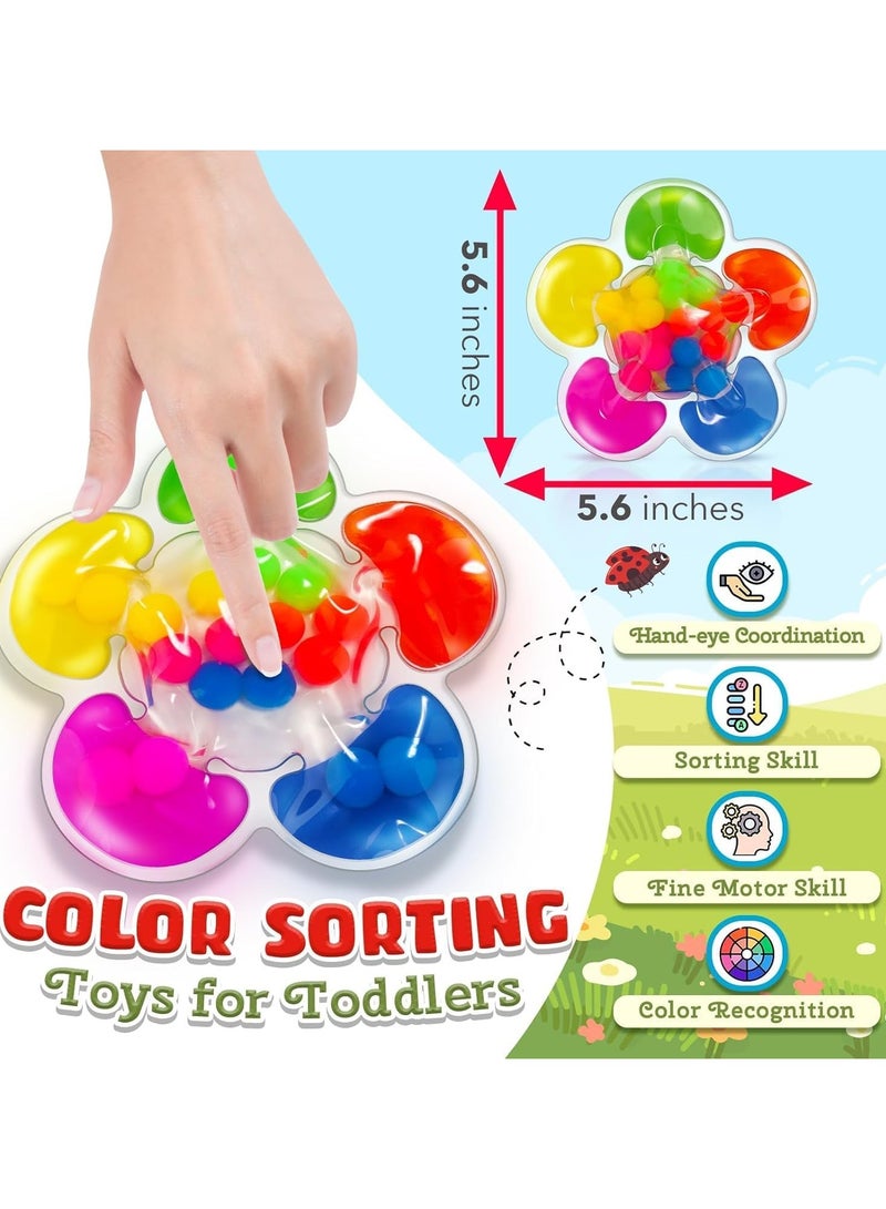 Color Sorting Toys Sensory Toys, Fine Motor Skills Game for Toddlers, Color Matching Toys Preschool Learning Activities Educational Calm Down Montessori Toys  - Image 2