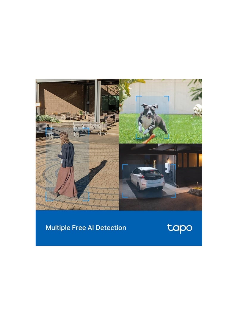 Tapo TP-Link Outdoor Pan/Tilt Security Wi-Fi Camera with Smart Motion Tracking, IP66 Weatherproof, Multiple Installation Options and Voice Activated Wired/Wireless Networking - C520WS - Image 5