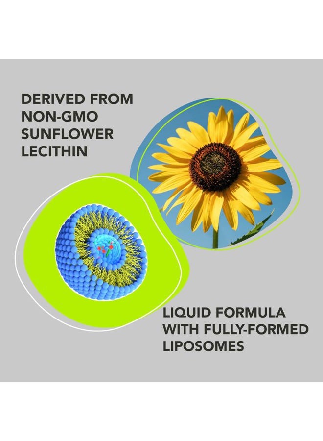 AMANDEAN Liposomal Glutathione Supplement. Liquid Reduced Setria 500mg. Immune Support, Brain Health, Liver Detox, Skin Health. Phosphatidylcholine from Non-GMO Sunflower Lecithin. Soy-Free & Vegan. - Image 4