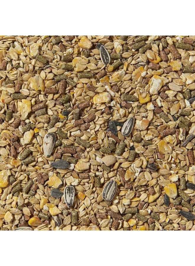 كايتي طعام كايتي سوبريم للهامستر والجربوع، 2 رطل - Image 3