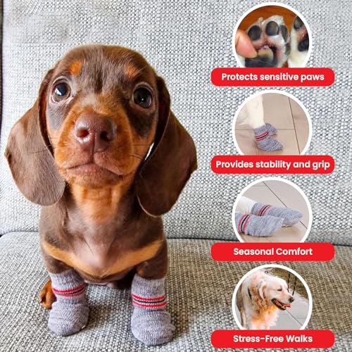 Trixie Non-Slip Socks for Dogs, Paw Protecter, Protect from Small Wounds, Cold Floors and Dusty Furniture, Grey, 4 pcs (XXS-XS)- Color May Vary - Image 4