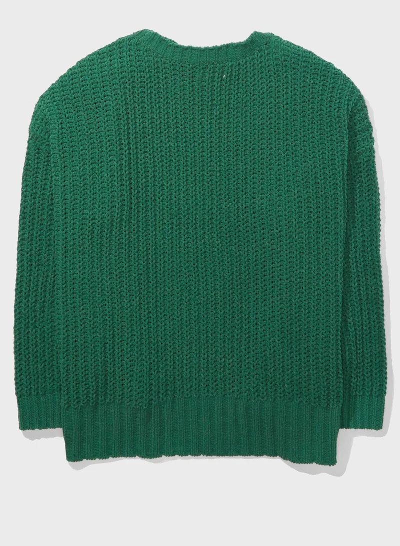 American Eagle Knitted Round Neck Sweater