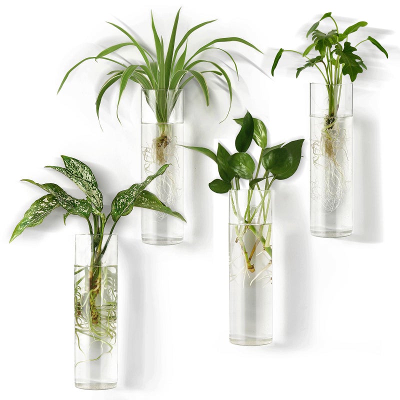 Mkono Propagation Station Wall Planter Hanging Glass Tubes Flower Vase for Hydroponics Plants Bathroom Home Office Living Room Decor Gift Cylinder Set of 4
