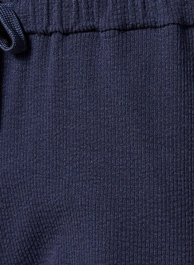 Iconic Iconic Regular Fit Shorts