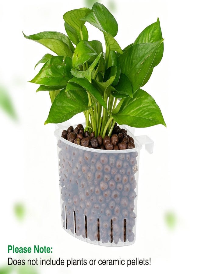 Borlech 2026 Latest Model Large Aquarium Corner Planter Hanging Plant Holder for Fish Tank Aquaponic Plant Cultivation and Aquascape Accessories Decorations (4 Pack) Transparent - Image 4