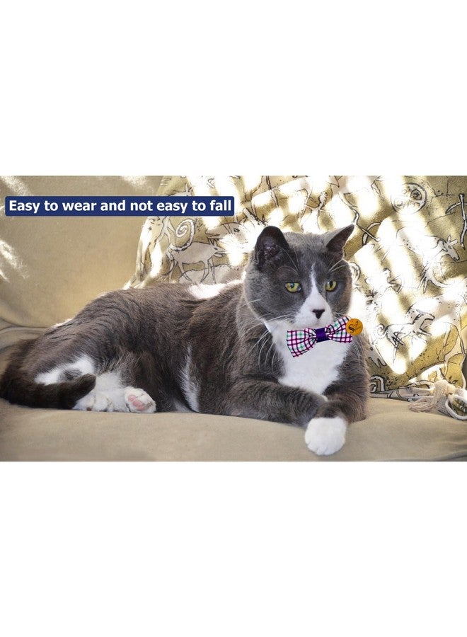 سايج سكوير ربطة عنق قطط تزيد من سحر قطتك بأناقة مطبوعة عشوائيًا وتصميمات غريبة، وزينة قطط أنيقة، وأزياء فريدة، وربطة عنق قابلة للتعديل، ومنتجات قطط عالية الجودة - Image 4