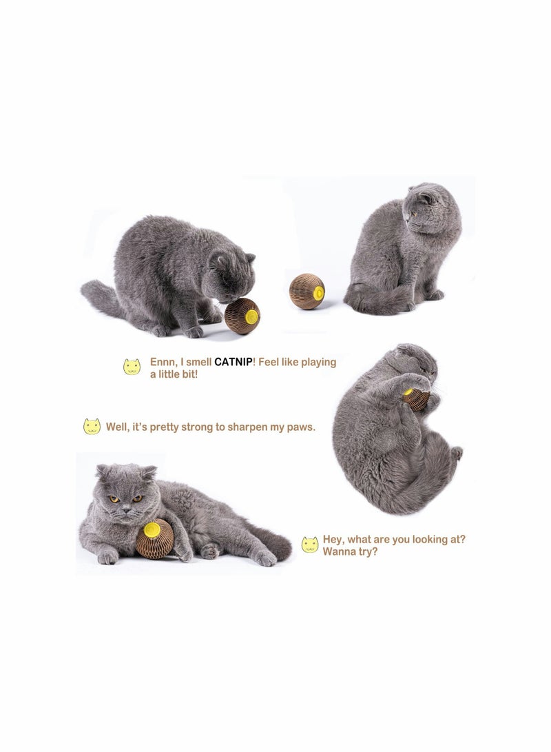 KASTWAVE Catnip Ball Toy for Cats Catnip Refillable Scratcher Ball Kitty's Faithful Playmate Reduce Obesity and Loneliness - Image 2
