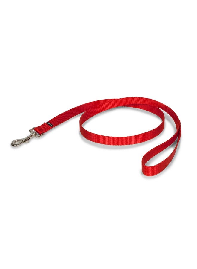 بيت سيف مقود الكلاب من النايلون من PetSafe - مقود قوي ومتين بتصميم تقليدي مع مشبك سهل الاستخدام - 3/4 بوصة × 4 أقدام، أحمر - Image 1