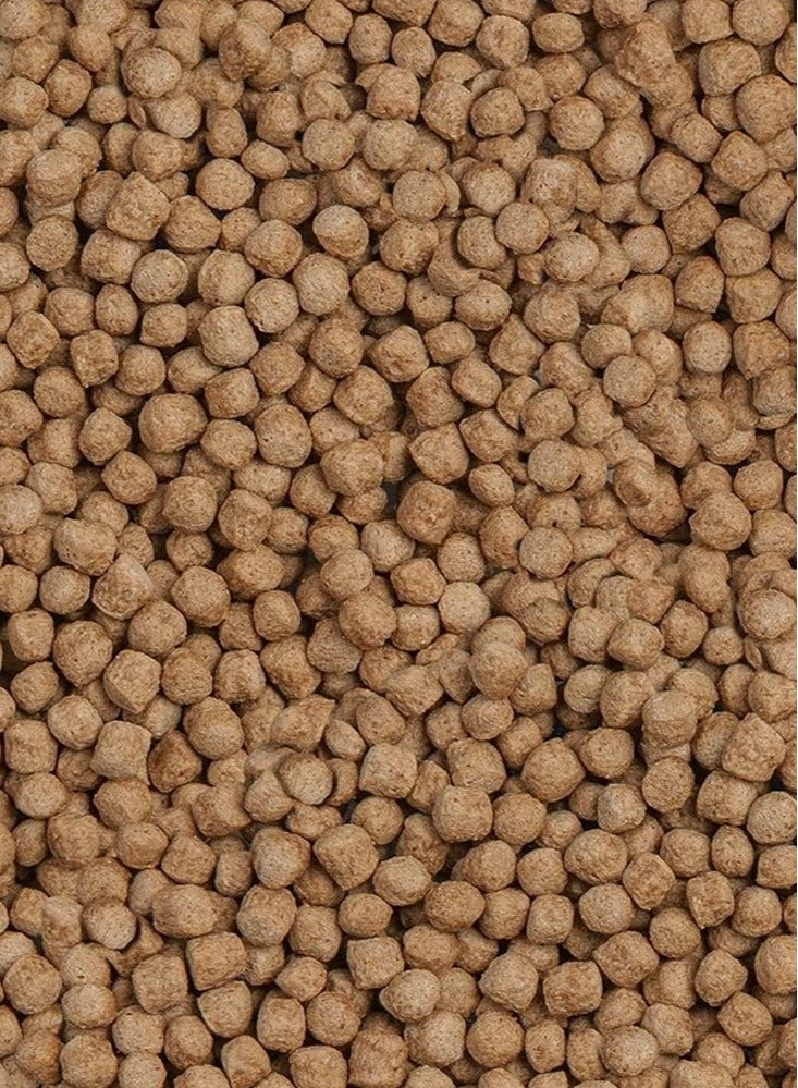 سيرا كوي رويال نيتشر متوسط ​​الحجم [الحجم - 1000 مل] - Image 2