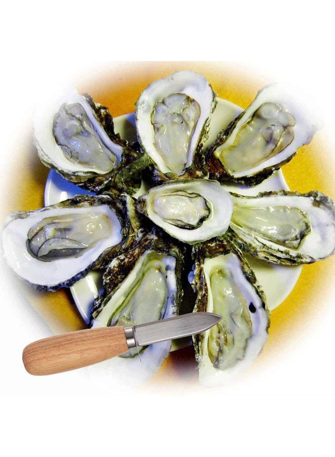 Domg 10Pcs Oyster/Clam Shucking Knife Opener with Wooden Handle - Image 3