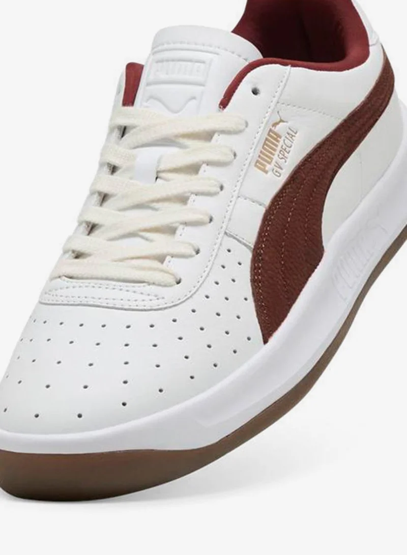 بوما جي في سبيشال بريم