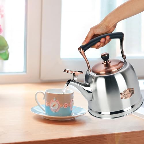 Lazneyru Tea Kettle Stainless Steel Teapot, Stainless Steel Teakettle for Stove Top with Heat Proof Ergonomic Handle 3.0 Quart - Image 5