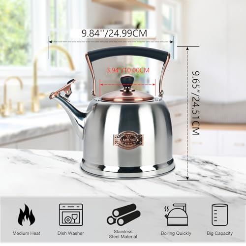 Lazneyru Tea Kettle Stainless Steel Teapot, Stainless Steel Teakettle for Stove Top with Heat Proof Ergonomic Handle 3.0 Quart - Image 4
