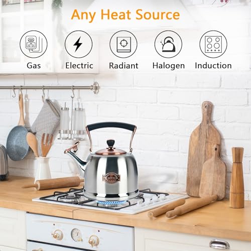Lazneyru Tea Kettle Stainless Steel Teapot, Stainless Steel Teakettle for Stove Top with Heat Proof Ergonomic Handle 3.0 Quart - Image 2