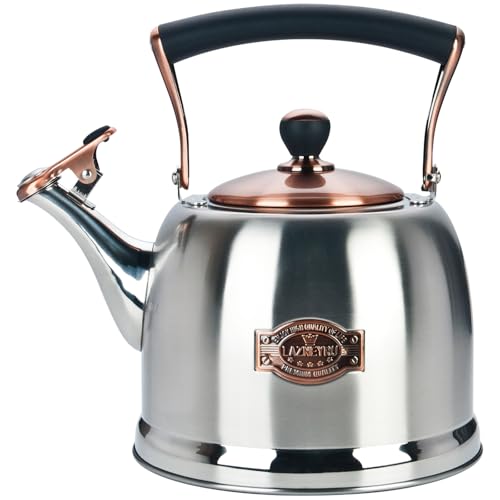 Lazneyru Tea Kettle Stainless Steel Teapot, Stainless Steel Teakettle for Stove Top with Heat Proof Ergonomic Handle 3.0 Quart - Image 1