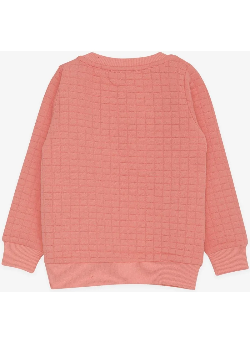 Breeze Girl's Sweatshirt Sequined Text Printed 1.5-5 Years, Salmon