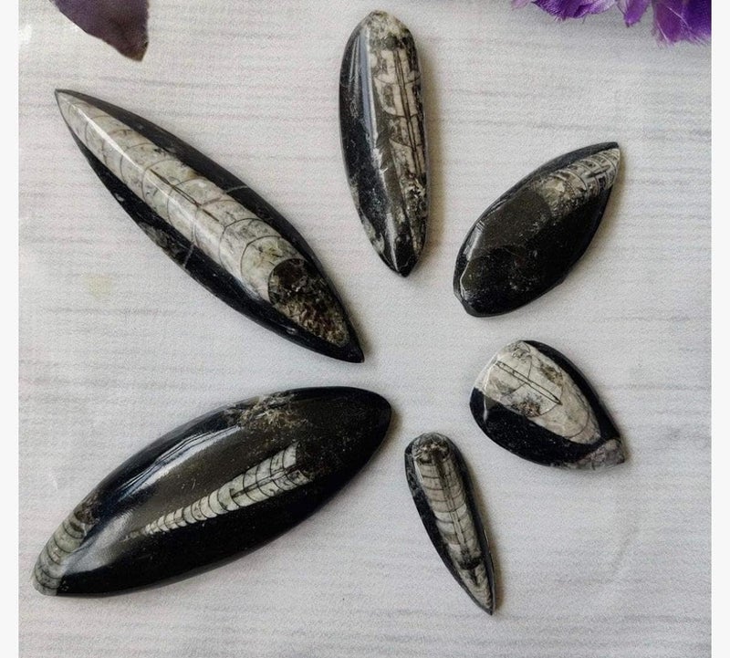 7VENS Original Kuber Stone for wealthProsperityuncounted wealth abundence Fossil Orthoceras Kuber Finance Stone for Wealth Prosperity Success Reduces Stress - Image 2