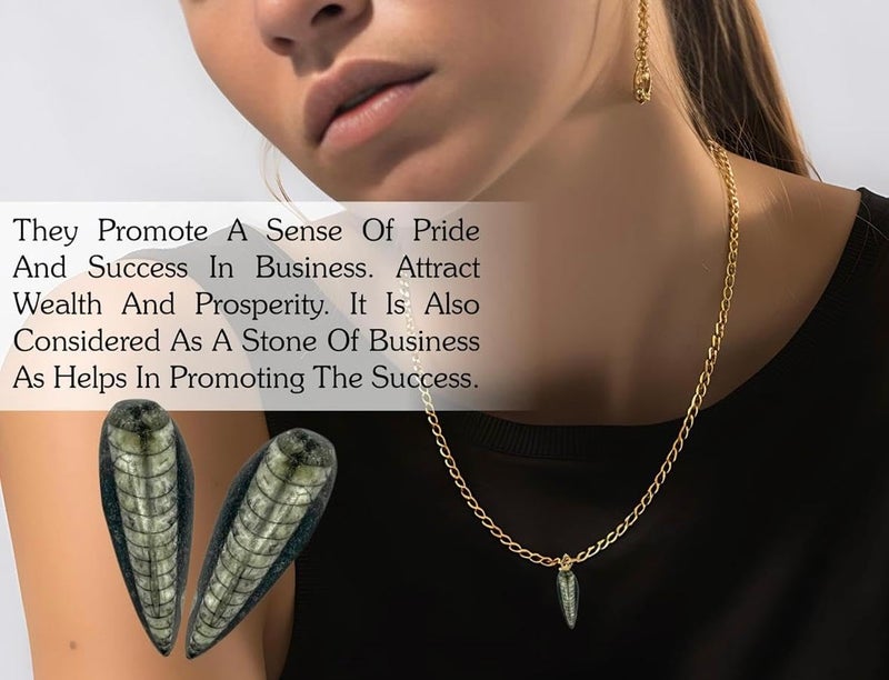 7VENS Original Kuber Stone for wealthProsperityuncounted wealth abundence Fossil Orthoceras Kuber Finance Stone for Wealth Prosperity Success Reduces Stress - Image 4