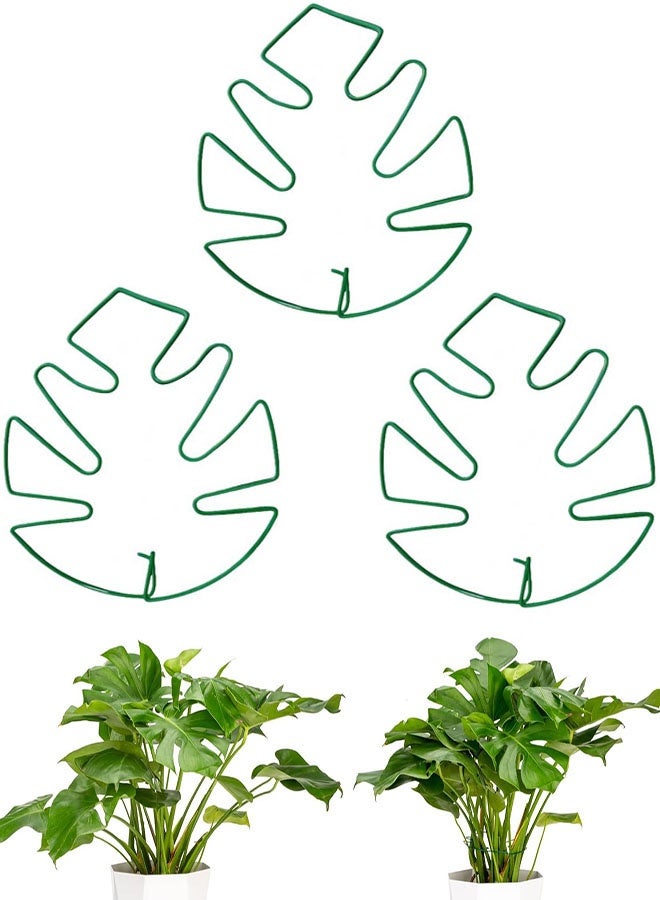 دعامة نباتات مونستيرا، 3 قطع مشابك حديدية بتصميم صدفة سلحفاة، دعامات نباتات للنباتات الداخلية والنباتات المتسلقة، نمو صحي وتثبيت الأوراق - Image 1