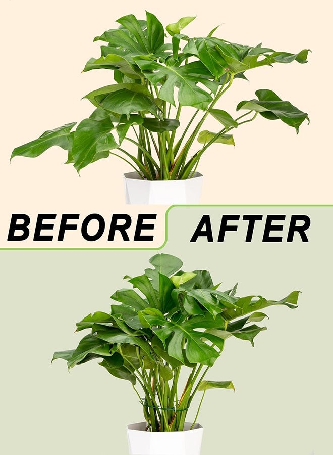 دعامة نباتات مونستيرا، 3 قطع مشابك حديدية بتصميم صدفة سلحفاة، دعامات نباتات للنباتات الداخلية والنباتات المتسلقة، نمو صحي وتثبيت الأوراق - Image 3