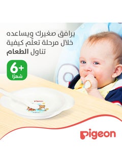 pigeon Feeding Set  - Image 3