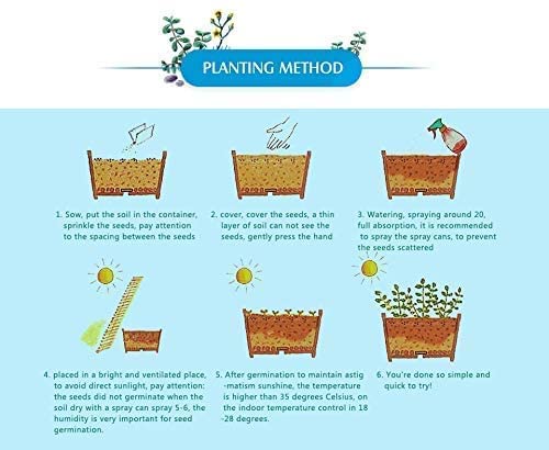Earth Hopper 50+ Seeds- Mixed Rose Seeds For Planting Non-Gmo Flower Seeds For Home Garden - Image 4