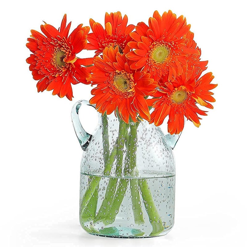 MDLUU Seeded Glass Vase, 4.6" W x 6.7" H, Clear, Double Ear Design, Coastal Modern Style, Perfect for Dining Room, Bedroom, Bathroom - Image 2