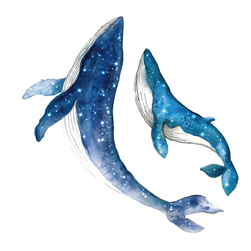 Removable Wall Decals for Kids Whale Shape Cartoon Blue 2 Sets - Image 3