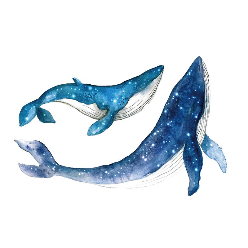 Removable Wall Decals for Kids Whale Shape Cartoon Blue 2 Sets - Image 1