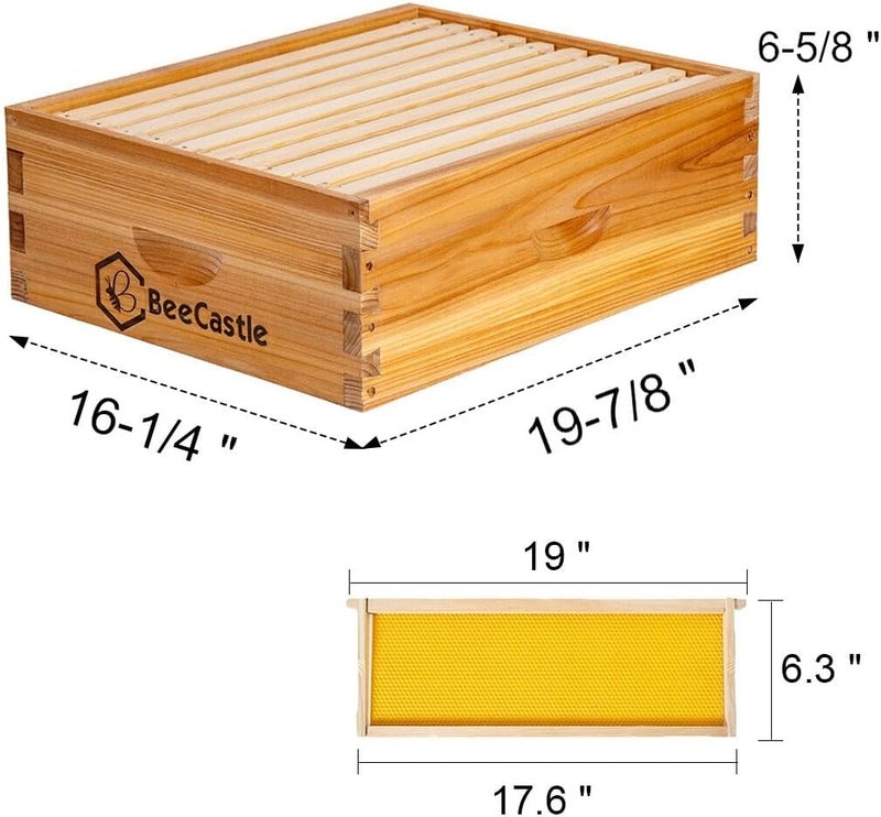 BeeCastle 10 Frame Medium Super Bee Hive Box, Langstroth Honey Bee Hive Dipped in 100% Beeswax Include Beehive Frames and Wax Foundations (Unassembled) - Image 3