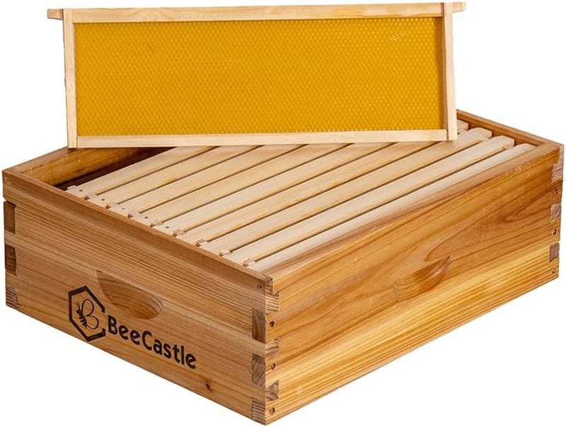 BeeCastle 10 Frame Medium Super Bee Hive Box, Langstroth Honey Bee Hive Dipped in 100% Beeswax Include Beehive Frames and Wax Foundations (Unassembled) - Image 4
