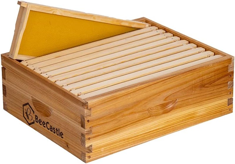 BeeCastle 10 Frame Medium Super Bee Hive Box, Langstroth Honey Bee Hive Dipped in 100% Beeswax Include Beehive Frames and Wax Foundations (Unassembled) - Image 1