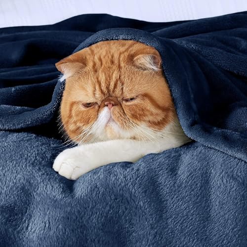 VAS COLLECTIONS® Premium Plush Single Blanket | 300 GSM Lightweight Cozy Soft for Bed, Sofa, Travel & Camping| 150x220 cm or 60X86 inches | Blue - Image 2
