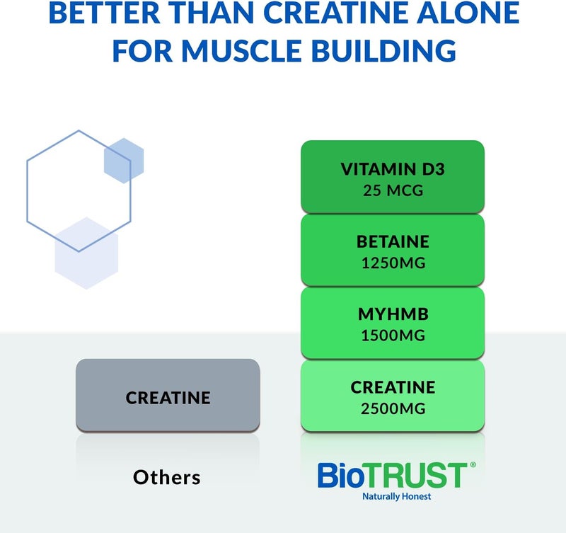 BioTrust Ageless Muscle Builder  Creatine HMB Powder with Vitamin D3  Betaine  Build  Preserve Naturally Declining Muscle Mass  Strength  Fruit Punch 30 Servings - Image 2