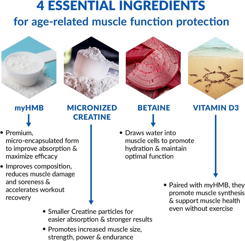 BioTrust Ageless Muscle Builder  Creatine HMB Powder with Vitamin D3  Betaine  Build  Preserve Naturally Declining Muscle Mass  Strength  Fruit Punch 30 Servings - Image 3