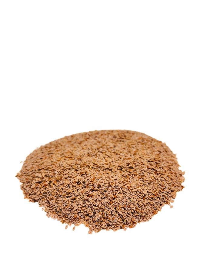 Ayushiv ISABGOL SEEDS (Plantago ovata) -Psyllium husk- Isabgol aka (1 KG) - Image 4