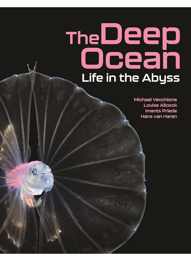 null - The Deep Ocean: Life in the Abyss - Image 1