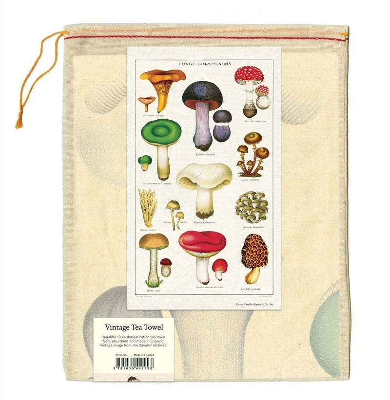 CAVANILLI & CO. Cavallini Papers TT/MUSH Mushroom Vintage Mushrooms Cotton Tea Towel - Image 3