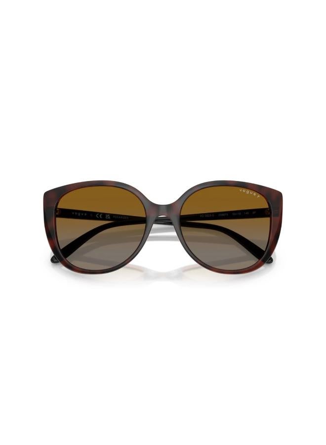 Vogue Eyewear 0Vo5623S Butterfly Sunglasses - Image 5