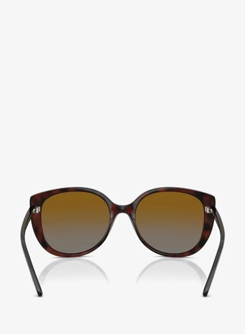 Vogue Eyewear  0Vo5623S Butterfly Sunglasses for Women | Best Price UAE